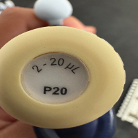 Gilson Multi Chanel Pipettes Quantity 9 image 2
